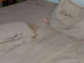 lili_and_niki chaturbate stream image, 25.03.2026 12:30