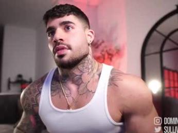 dominic_sullivan1 chaturbate stream image, 26.03.2026 05:30