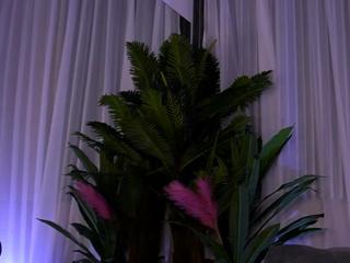 Esme Luv flirt4free stream image