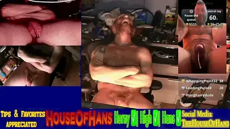 HouseOfHans stripchat stream image, 31.03.2026 22:50