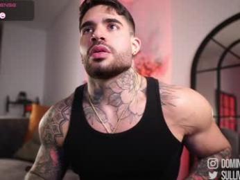 dominic_sullivan1 chaturbate stream image, 02.04.2026 05:50