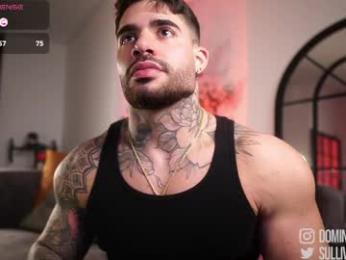 dominic_sullivan1 chaturbate stream image, 02.04.2026 05:50