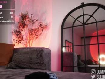 dominic_sullivan1 chaturbate stream image, 02.04.2026 05:50