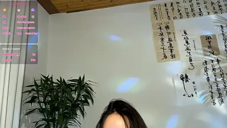 meowLili stripchat stream image, 08.04.2026 06:00