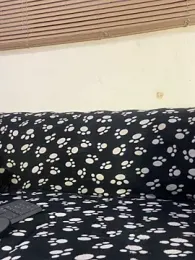 cody_fox10 stripchat stream image, 15.04.2026 13:50