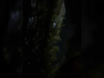 SallyeLeins bongacams stream image, 25.04.2026 21:10