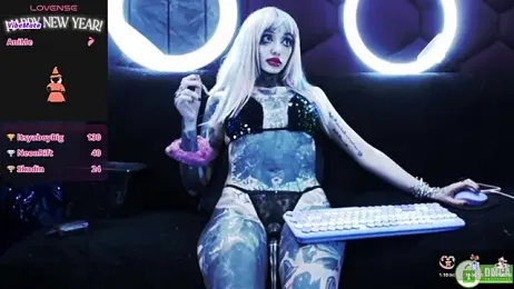 TyphoidMary stripchat stream image, 26.04.2026 05:20