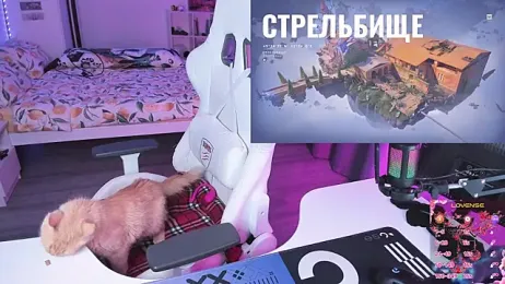 Yumi_Youkai stripchat stream image, 26.04.2026 18:30