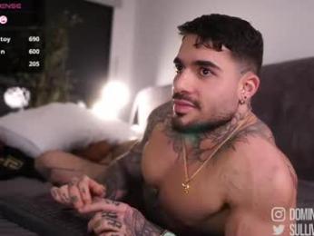 dominic_sullivan1 chaturbate stream image, 02.05.2026 02:10