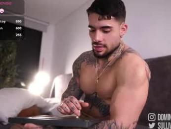 dominic_sullivan1 chaturbate stream image, 02.05.2026 02:10