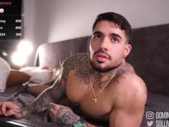 dominic_sullivan1 chaturbate stream image, 02.05.2026 02:10