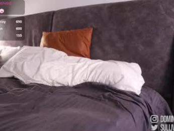 dominic_sullivan1 chaturbate stream image, 02.05.2026 02:10