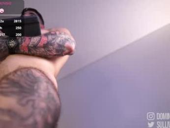 dominic_sullivan1 chaturbate stream image, 14.05.2026 04:50