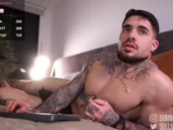 dominic_sullivan1 chaturbate stream image, 14.05.2026 04:50