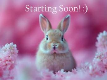 bunnydollstella chaturbate stream image, 20.05.2026 22:00