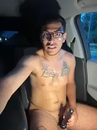 StrokingDaddy4 stripchat stream image, 31.05.2026 23:00