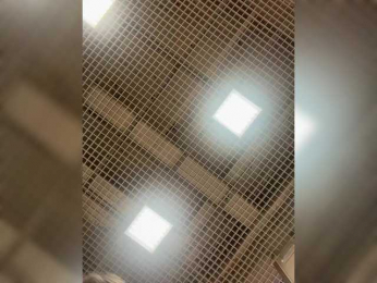 LiiBaby bongacams stream image