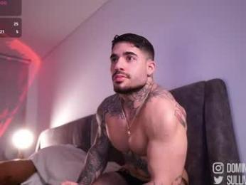 dominic_sullivan1 chaturbate stream image, 09.06.2026 00:30