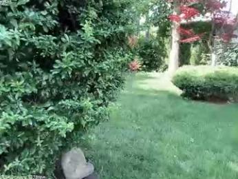 patry333 chaturbate stream image, 16.06.2026 05:20
