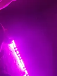 Boysex227 stripchat stream image, 26.06.2026 17:10