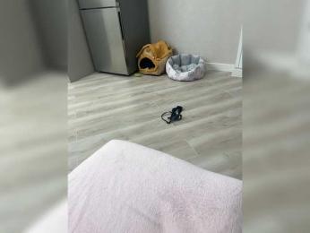 CuteKitty00 bongacams stream image, 27.06.2026 11:20