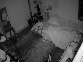 voyeurcam-hornyhostel-02 camsoda stream image, 04.07.2026 06:00