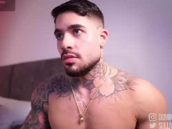 dominic_sullivan1 chaturbate stream image, 19.07.2026 02:00