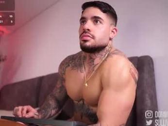 dominic_sullivan1 chaturbate stream image, 19.07.2026 02:00
