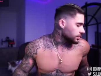 dominic_sullivan1 chaturbate stream image, 13.08.2026 03:00