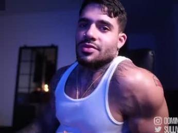 dominic_sullivan1 chaturbate stream image, 25.08.2026 04:30