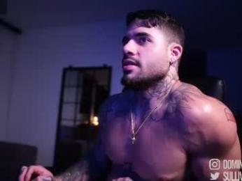 dominic_sullivan1 chaturbate stream image, 25.08.2026 04:30