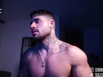 dominic_sullivan1 chaturbate stream image, 25.08.2026 04:30