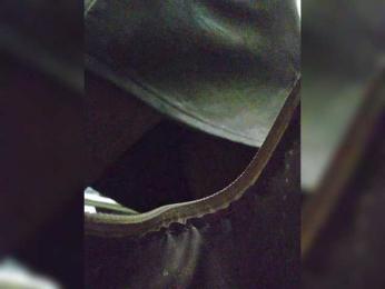 EditaMilf bongacams stream image, 27.08.2026 12:10