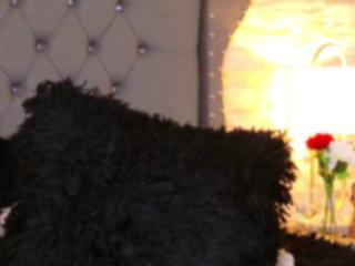 Kimberly Walton flirt4free stream image