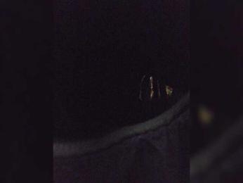 EditaMilf bongacams stream image, 07.09.2026 09:20
