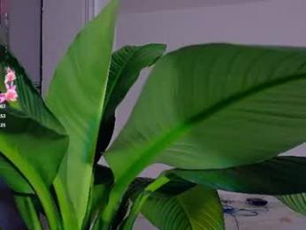 sammywish_ chaturbate stream image, 14.09.2026 03:20