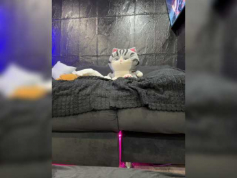 MagicMelody bongacams stream image