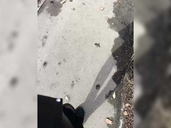 Angelia22 bongacams stream image