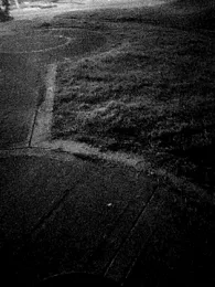 LIZ-06_ stripchat stream image