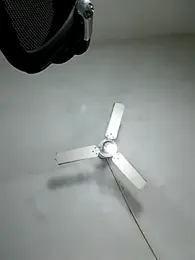 pepsicolacouple stripchat stream image