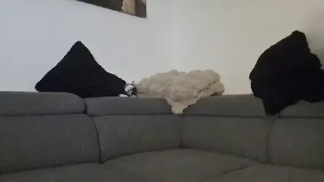 LoveXAddict stripchat stream image