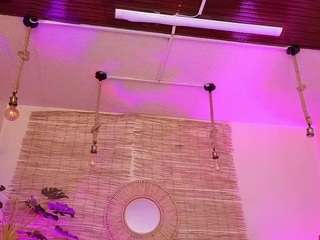 lady-brownn camsoda stream image