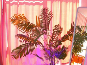 ArtTeasee bongacams stream image