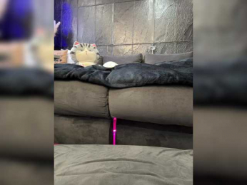 MagicMelody bongacams stream image