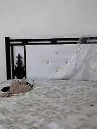 Rasmalai786 stripchat stream image