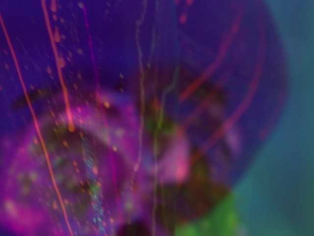 HeyBanana bongacams stream image