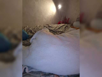 LittleDelora bongacams stream image