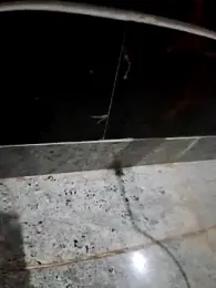 Cute_plak01 stripchat stream image