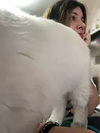 DaisyVibesss stripchat stream image