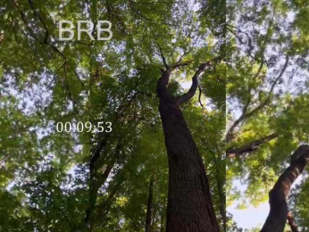 A-Huli bongacams stream image